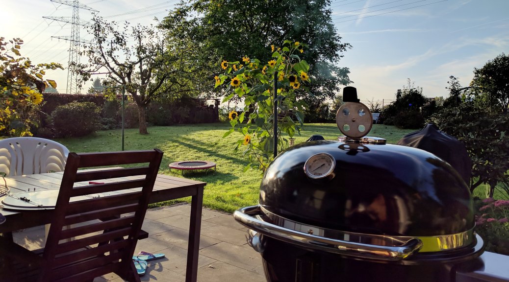 Weber Summit Charcoal In Action Guns Hunting Bbq